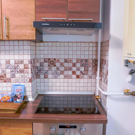 Apartment Elegant - Targul De Craciun