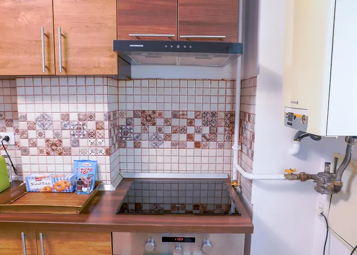 Apartament Elegant - Targul De Craciun